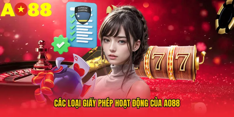 Các loại giấy phép hoạt động của AO88
